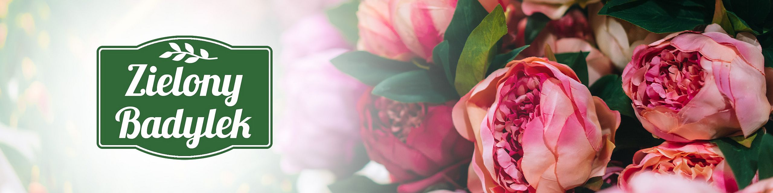 Logo „Zielony Badylek” na tle bukietu różowych piwonii – kompozycja florystyczna z naturalnym urokiem.