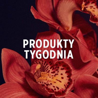 Czerwony kwiat na ciemnym tle z napisem: PRODUKTY TYGODNIA