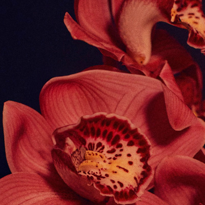 Grafika na wydarzenie