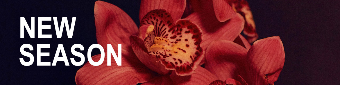 Red flower on a dark background with the text: NEW SEASON.